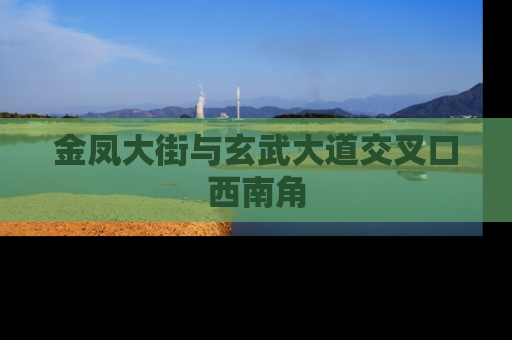 金凤大街与玄武大道交叉口西南角