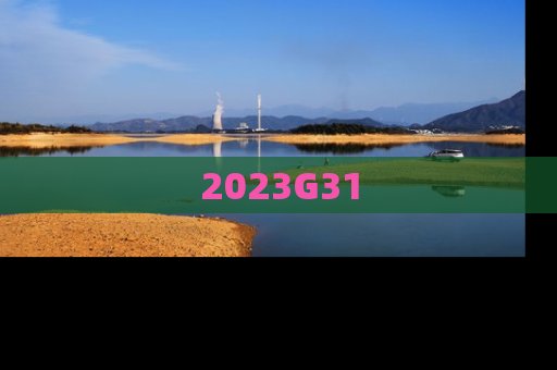 2023G31