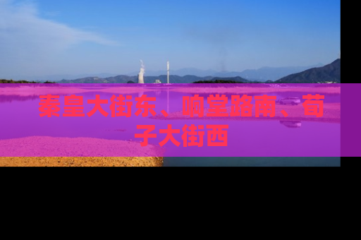 秦皇大街东、响堂路南、荀子大街西
