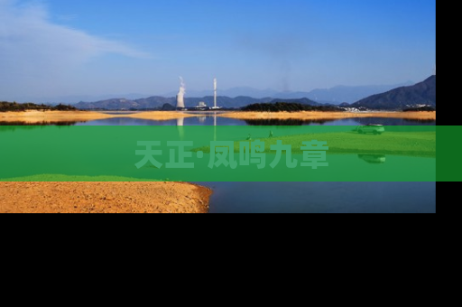 天正·凤鸣九章