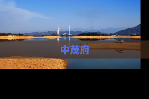 中茂府