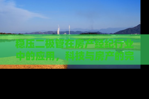 稳压二极管在房产经纪行业中的应用，科技与房产的完美融合