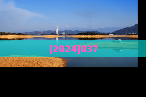 [2024]037