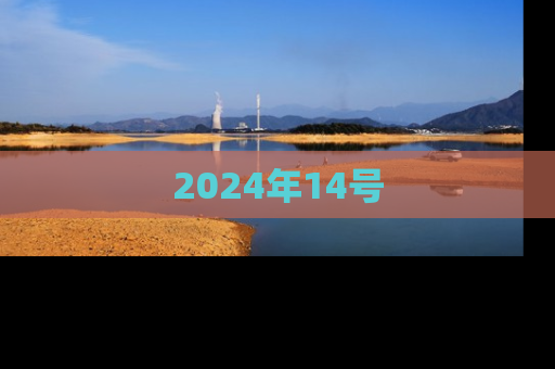 2024年14号