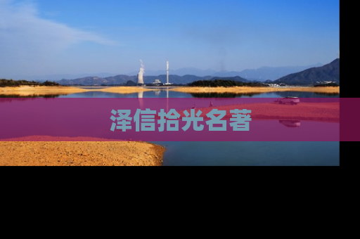 泽信拾光名著