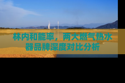 林内和能率，两大燃气热水器品牌深度对比分析
