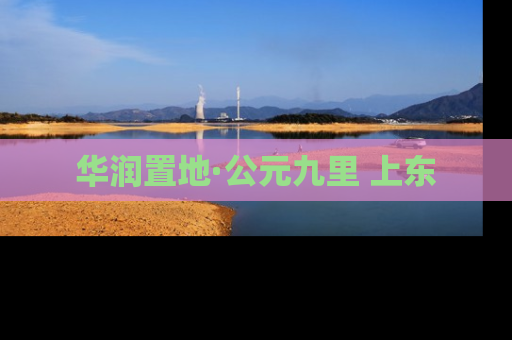 华润置地·公元九里 上东