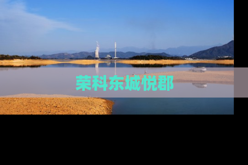 荣科东城悦郡