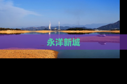 永洋新城