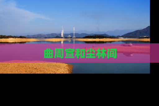 曲周宣和尘林间