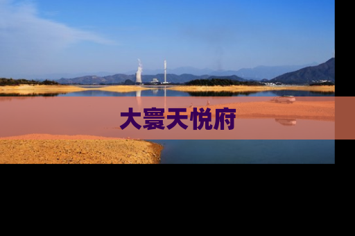 大寰天悦府